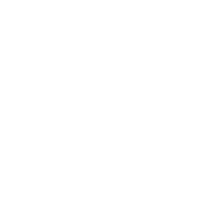 Tax Man Bruxelles